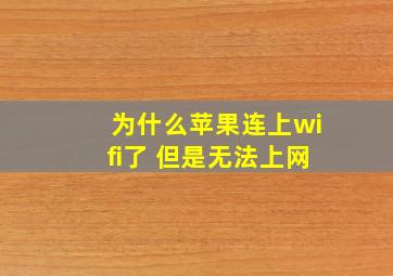 为什么苹果连上wifi了 但是无法上网